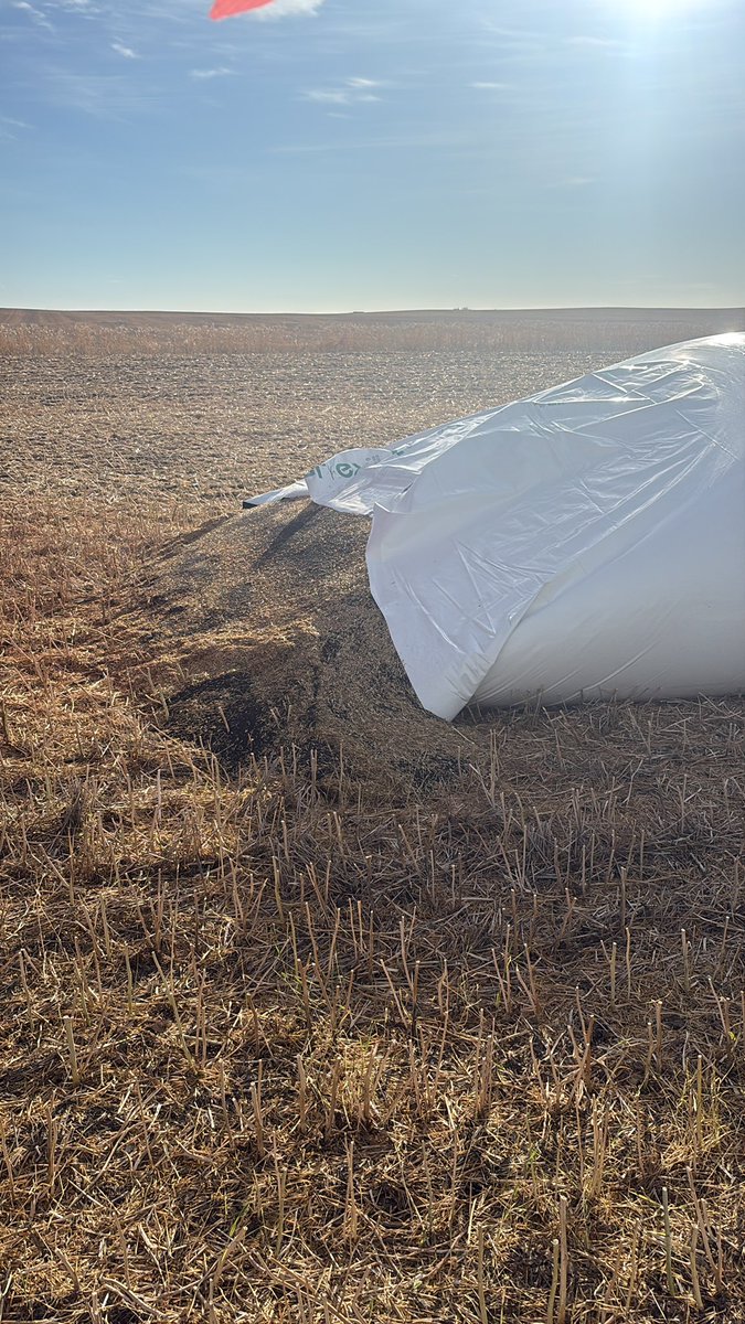 Joel Seime tweet media