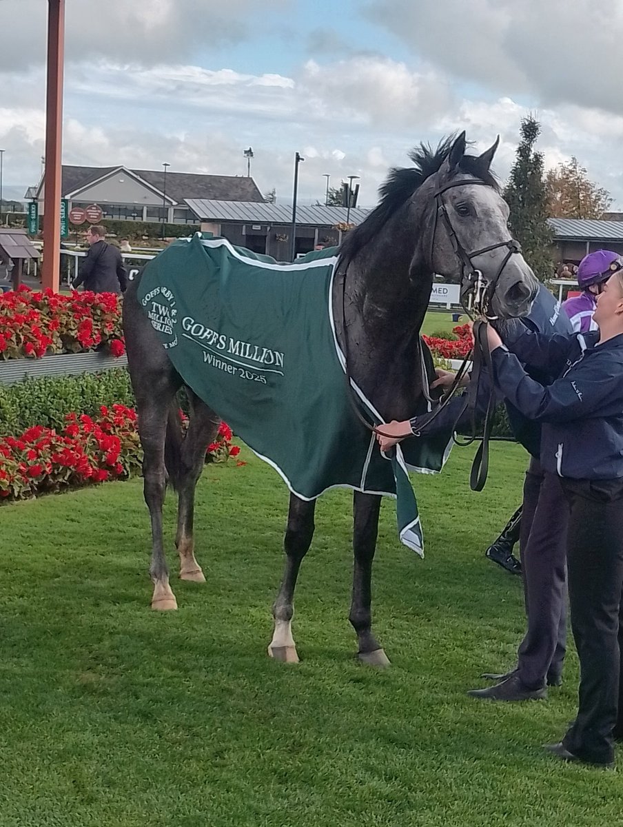 JoeSeward1's tweet image. Dorset lands the 
@Goffs1866 Million for 
Aidan O&apos;Brien and Jack Cleary here @curraghrace
He&apos;d beaten Benvenuto Cellini  by 1.5 lengths in a maiden here in June.
Freely 12/1 in the ring at the off . 
Industry SP 15/2 
Betfair SP 14.5
COMPOSING 4/5 finished 3rd 
#Curragh