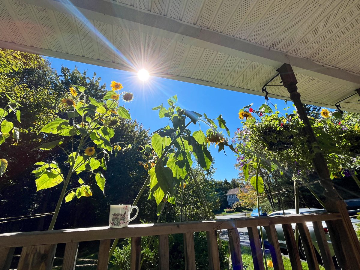 FancyCaroline's tweet image. Happy September’s last Saturday!