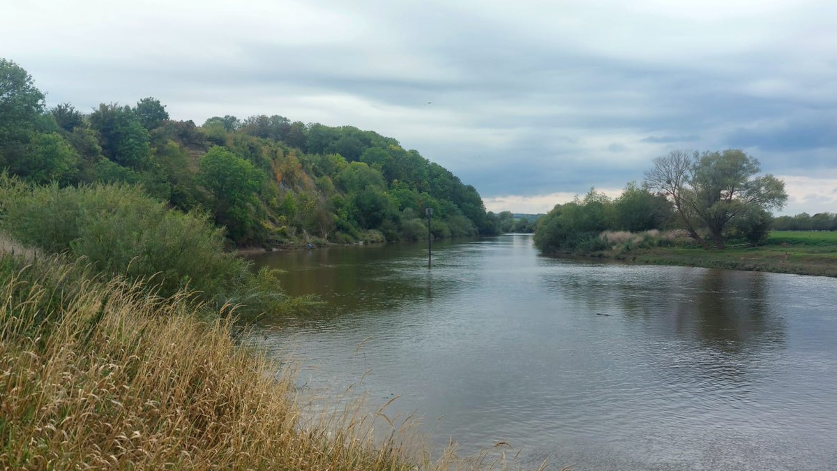 Rob Lawrence tweet media