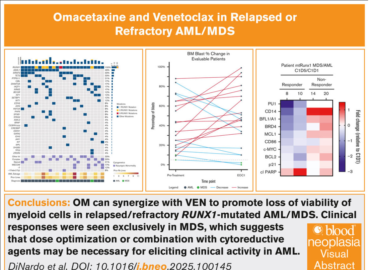 👉👉👉Our group’s new paper 📝 led by Dr C DiNardo &amp; Dr K Bhalla  || #Omacetaxine + VEN in patients with R/R MDS/AML with #RUNX1 mutation | <a href="/BloodPortfolio/">Blood Journals Portfolio</a> 

<a href="/garciamanero/">Guillermo Garcia-Manero</a> <a href="/sanamloghavi/">Sanam Loghavi, MD صنم لغوی 🔬🧬</a> <a href="/TapKadia/">Tapan Kadia</a> <a href="/Daver_Leukemia/">Naval Daver, M.D.</a> 

sciencedirect.com/science/articl…