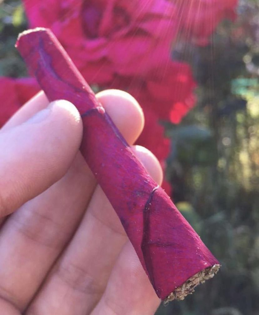 SantaCruzSkunk's tweet photo. Rose wrapped blunt #Sesh 🌹🔥#Cannabis https://t.co/AyVr6OKm5a