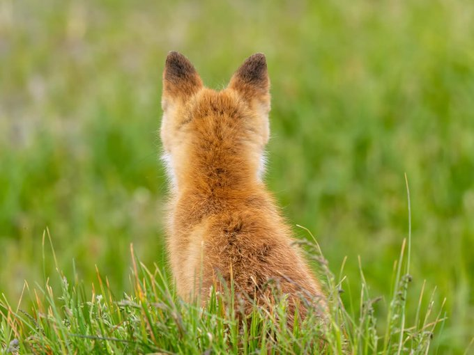 오랜만에 개족보 업데이트🥰🥹🫶💕
12화입니다!
joara.com/viewer?cid=cjV…