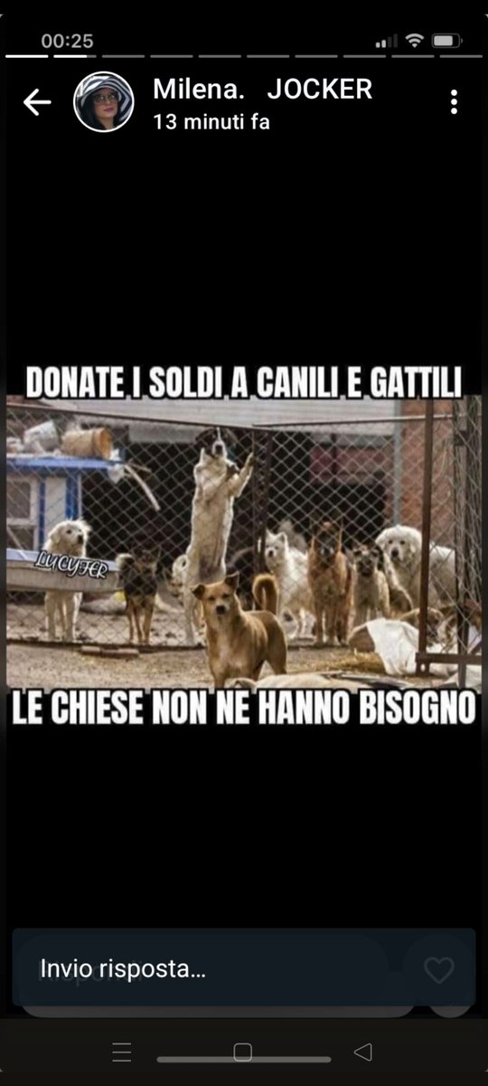 I CANILI E I GATTILI HANNO BISOGNO DI ESSERE AIUTATI. GRAZIE A TUTTI 🤝🤝♥️♥️♥️🆘🆘🆘🆘🆘🆘🆘🆘