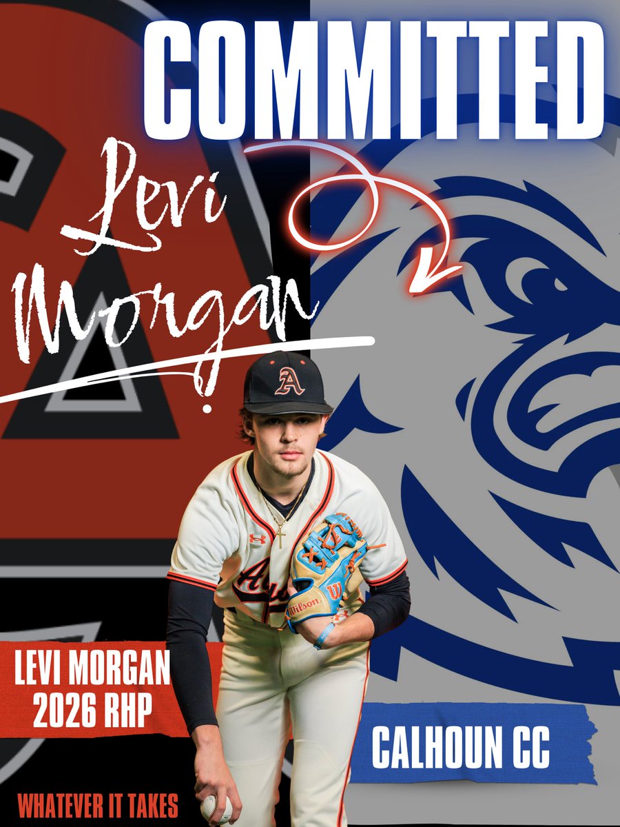 Levi Morgan tweet media