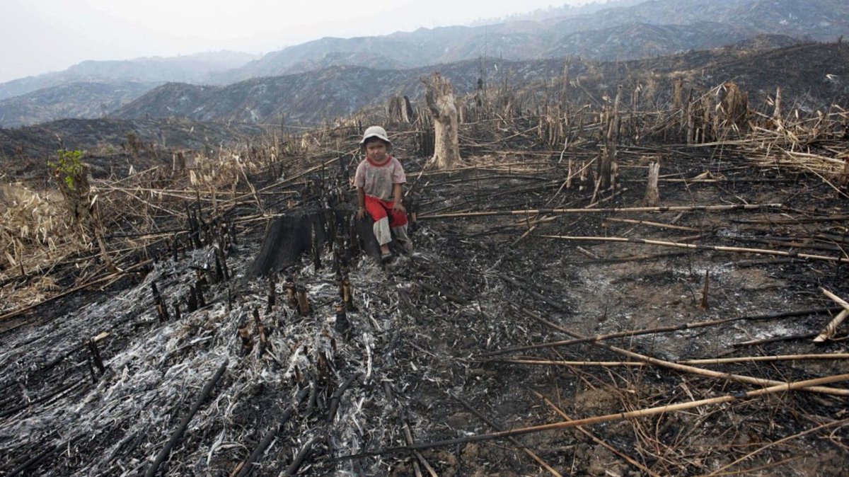 PalmOilDetect's tweet image. Experts warn that if #deforestation continues, #zoonotic #diseases jumping from wild #animals to humans will become a regular occurrence. 🦠🦟Yet another reason to #Boycottpalmoil 🌴🚫 and be #vegan 🍉🥦#Boycott4Wildlife #ClimateActionNow @palmoildetect palmoildetectives.com/2022/04/17/how…