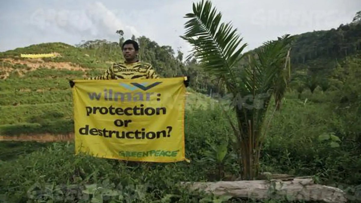 PalmOilDetect's tweet image. Experts warn that if #deforestation continues, #zoonotic #diseases jumping from wild #animals to humans will become a regular occurrence. 🦠🦟Yet another reason to #Boycottpalmoil 🌴🚫 and be #vegan 🍉🥦#Boycott4Wildlife #ClimateActionNow @palmoildetect palmoildetectives.com/2022/04/17/how…