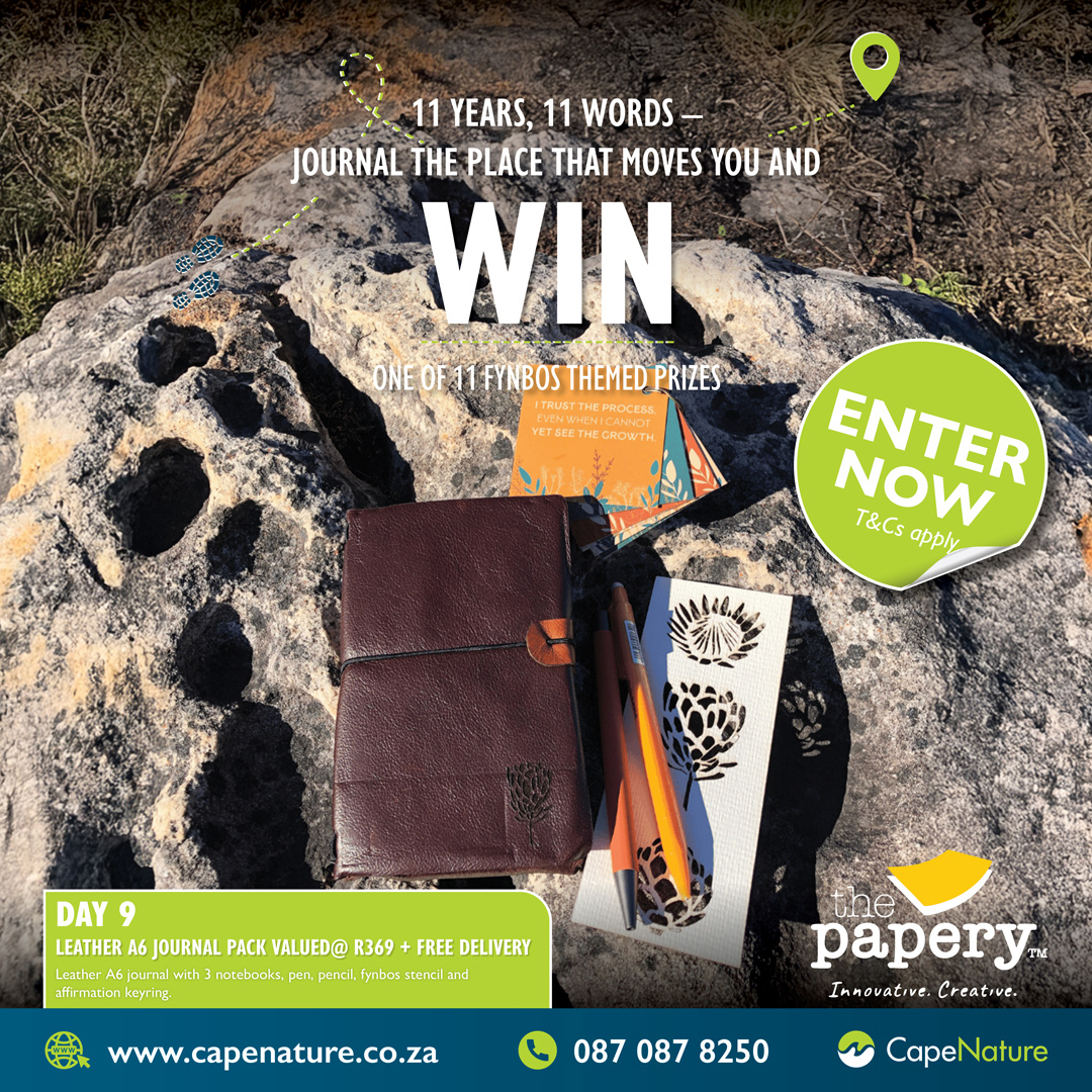CapeNature1's tweet image. Pen it. Post it. Prize it. 

🌿 Follow The Papery and CapeNature
🖊 Share this post and comment 11-word (or shorter!) of your best nature experience
🎁 Win a new prize every day
🌟 Day 11 = Fynbos Box finale! T&amp;amp;Cs apply.

#CapeNature #AccessWeek #CapeNaturexThePapery