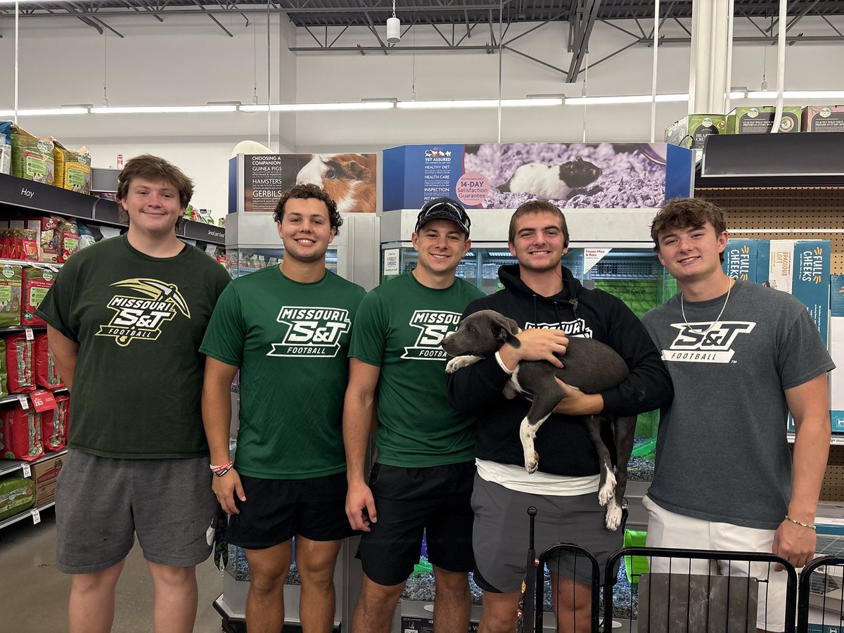 S&T Specialists tweet media