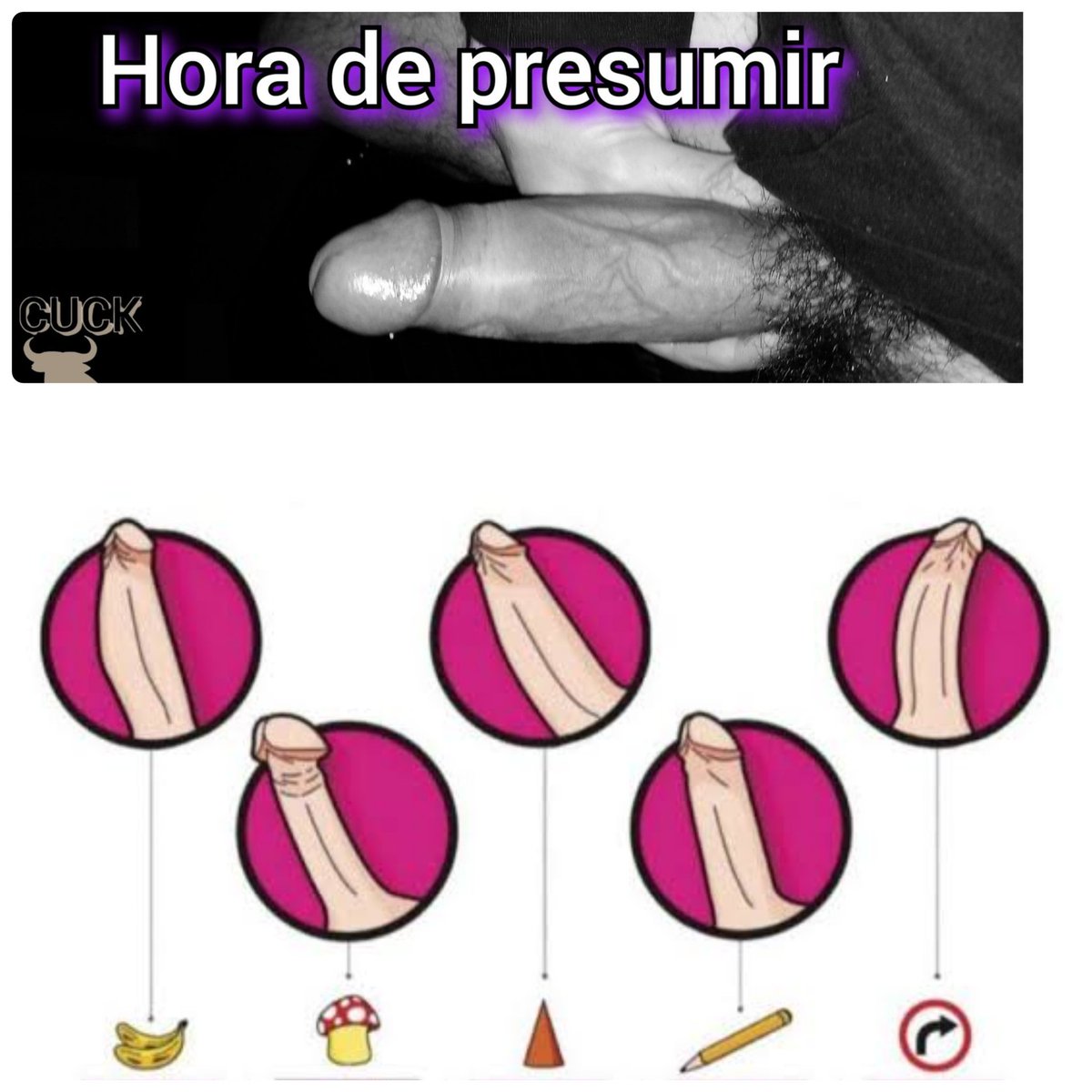 Zoe Hotwife tweet media