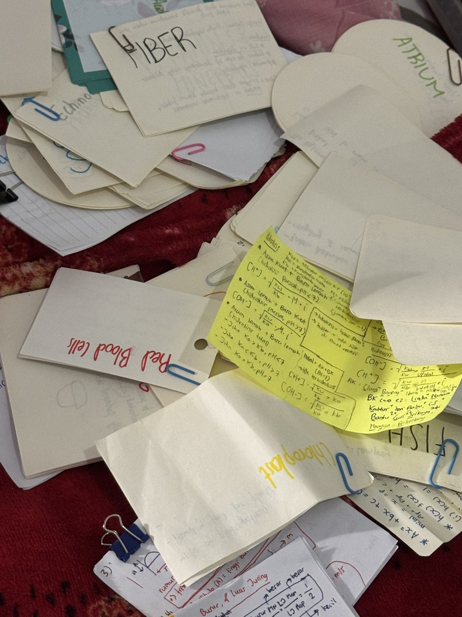 marzsatellite's tweet image. [27 sept 2025] 🦈 (h-35 tka, h-208 snbt)

kerjain to sainsin hari iniii, jujur hari ini kyk gimanaaa gituuu belajar tapi ga ngerasa maksimum banget 🥲 yaudahla besok to tka inten coba2 aja 😇😇😇 semoga makin semangat dan ga tumbang lagi 😭😭

— #studywithme
