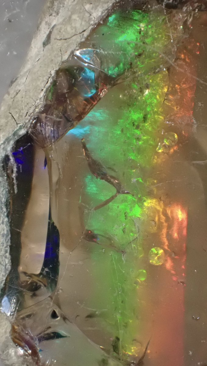 aomidori480nm's tweet photo. #見た人も無言で推しのドアップを貼る
#石の虹が見たい
#EthiopianOpal
#MacroPhotography
#GemstoneMacro
#OpalArt
#MacroArt
#GemstonePhotography
#NaturePhotography
#ArtOfTheDay
#VisualArt
#CrystalVibes
#MineralArt https://t.co/yeQwKLsKy5