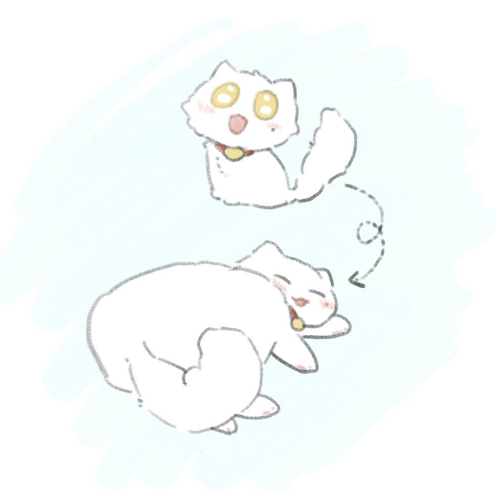 lylia83109762's tweet photo. not fat just fluffy
#jingyuan #景元 https://t.co/OJtP8hlNhv