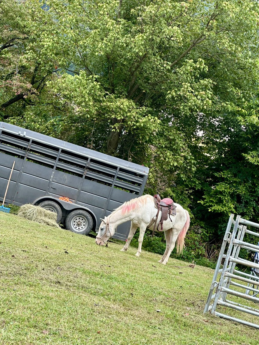 Tresa Howell For WV (@tresahowell4wv) on Twitter photo Enjoyed the Pratt Festival and Parade today! Lots of activity for everyone and a great time with the community. Enjoyed the Pratt Festival and Parade today! Lots of activity for everyone and a great time with the community.