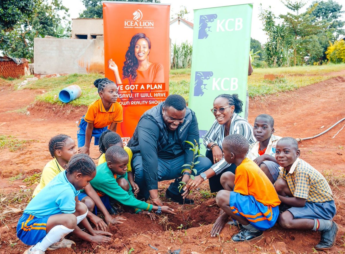 My Tree Initiative Organization tweet media