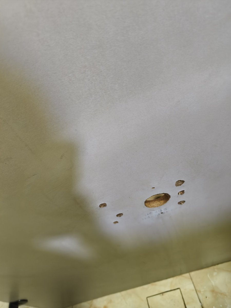 三好学生 tweet media