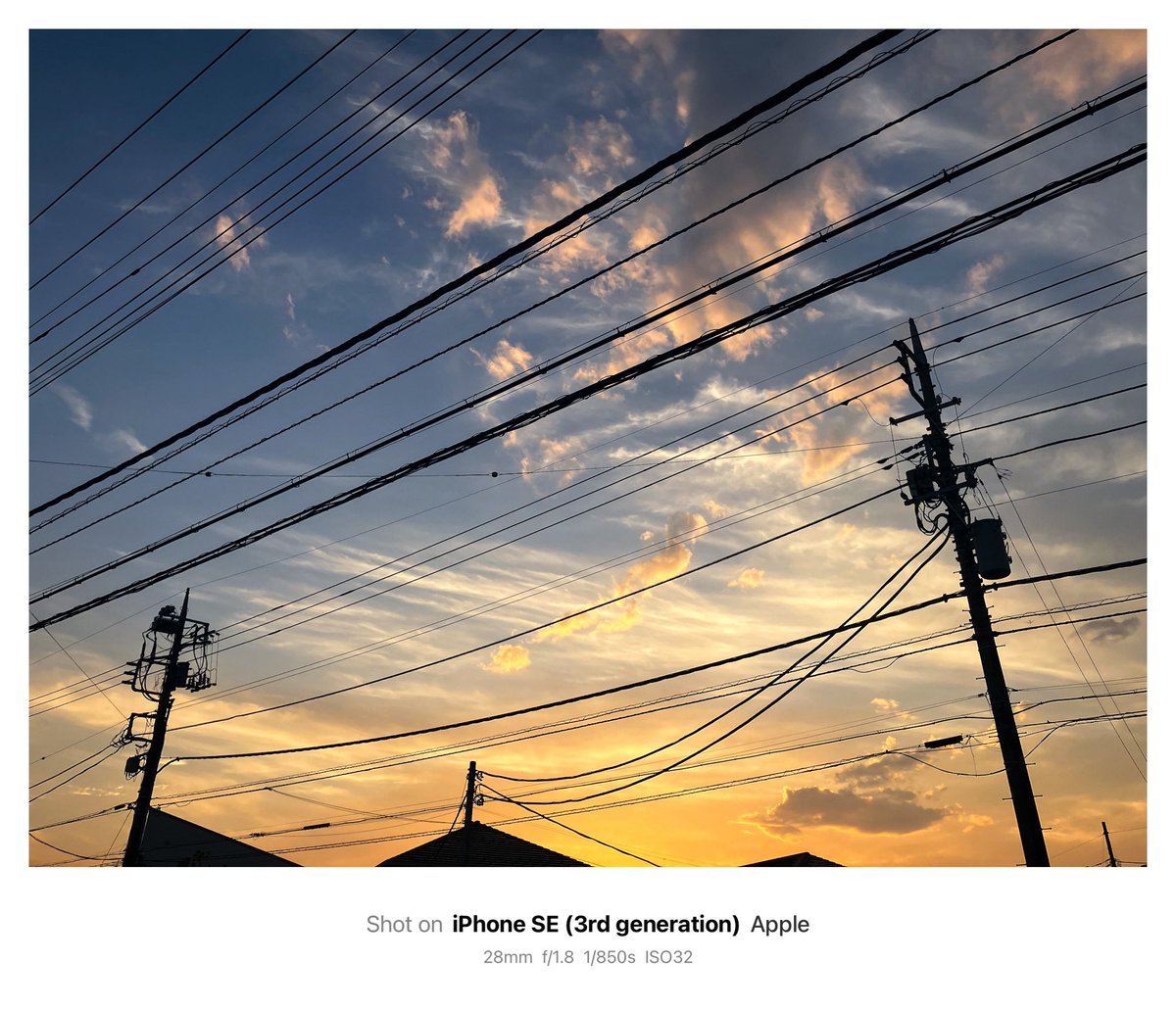 散歩の時に撮った写真が良かったので、ここでも見て見てする