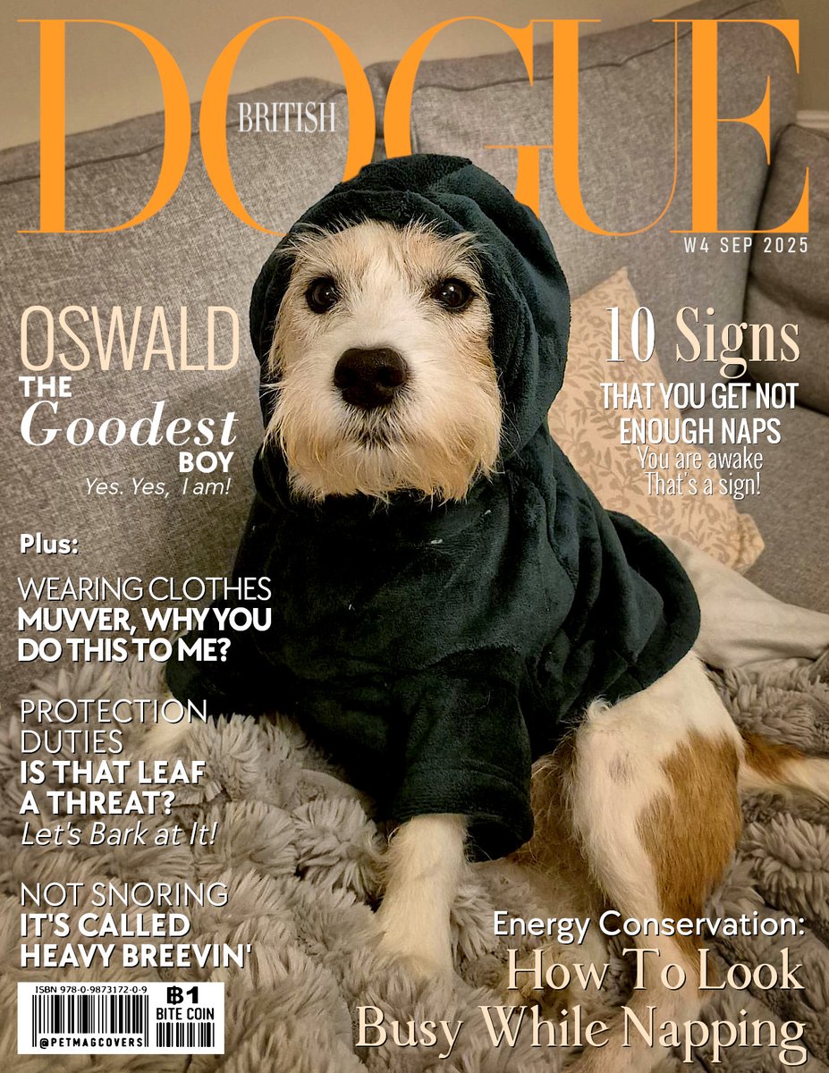 Today, on the cover of DOGUE Magazine: OSWALD <a href="/hooterboy/">Oswald</a> 
Featuring Clothing fashion &amp; charisma, this 11yo Staffordshire Bull Terrier mix  is a Lt. Colonel in Zombie Squad with a  loyal &amp; cheeky vibe.
Don't forget to follow and like for more of his adventures. #Dogs #Magazine