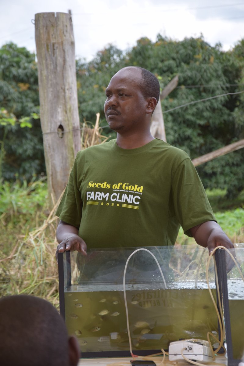 BulindiZ's tweet photo. 🐠 Boosting fish farming the smart way!

Farmers at the #SeedsOfGold #FarmClinic in NARO Bulindi are discovering how quality Nile Tilapia seed ensures faster growth, higher yields, and timely harvests before the dry season hits, a smart strategy for climate resilience. https://t.co/4I4eFyNsjN