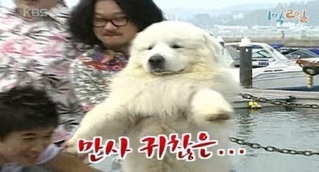 동물 짤 모으는 사람 tweet media