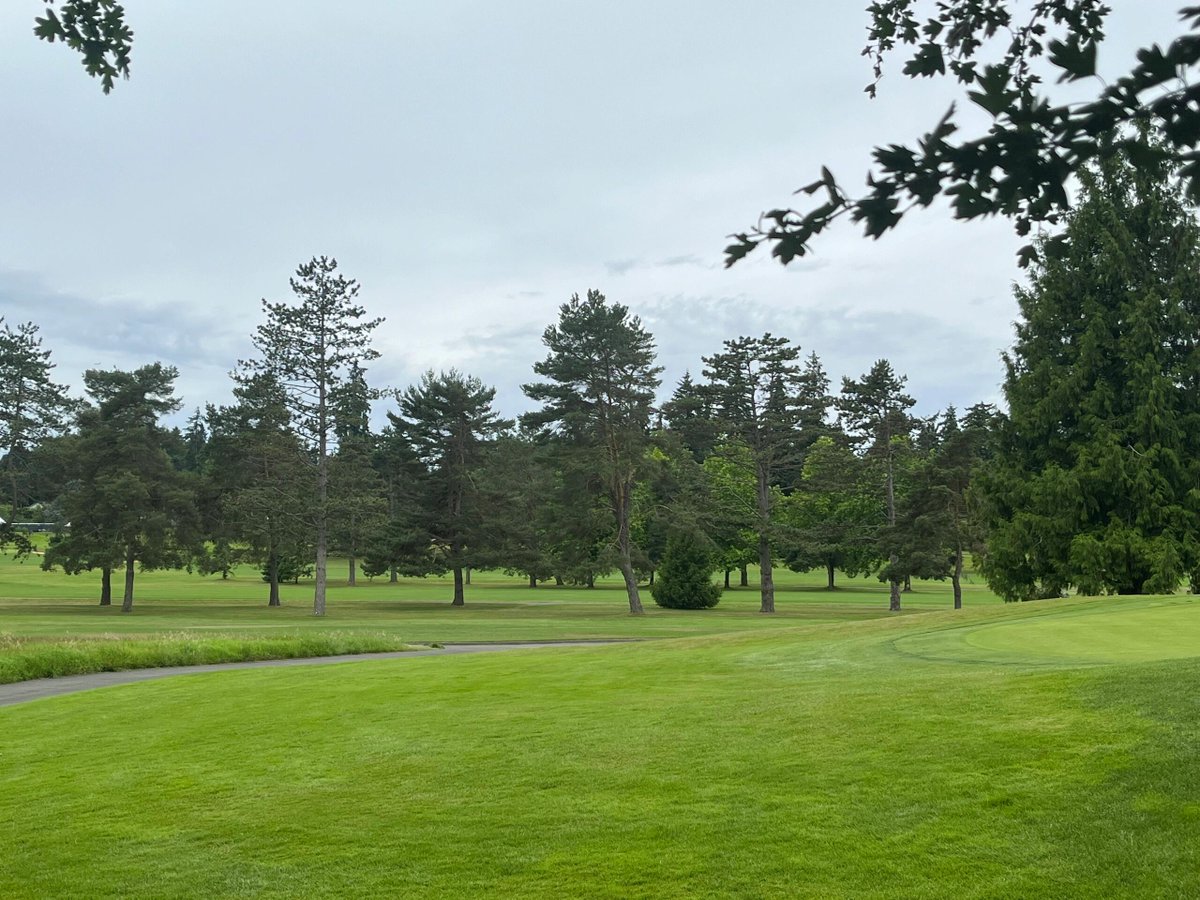 SilviaTeicht's tweet image. Autumn is like an open book of poetry 🍁📖, with the gentle sound of wind on every page.
#PoeticLife #LiteraryYouth #AutumnReflections #TheBeautyofWords #HealingSoul