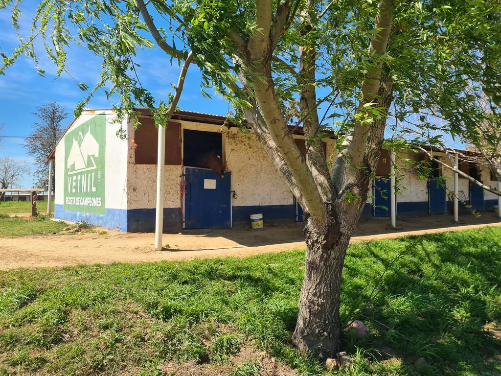 Recorrimos el Hipódromo Irineo Leguisamo, referente del deporte y la recreación en nuestro dpto.
Conversamos con su coordinador,  sobre el trabajo que allí se realiza, las acciones de mejora en marcha y, apuntando a seguir impulsando el crecimiento de la actividad hípica.