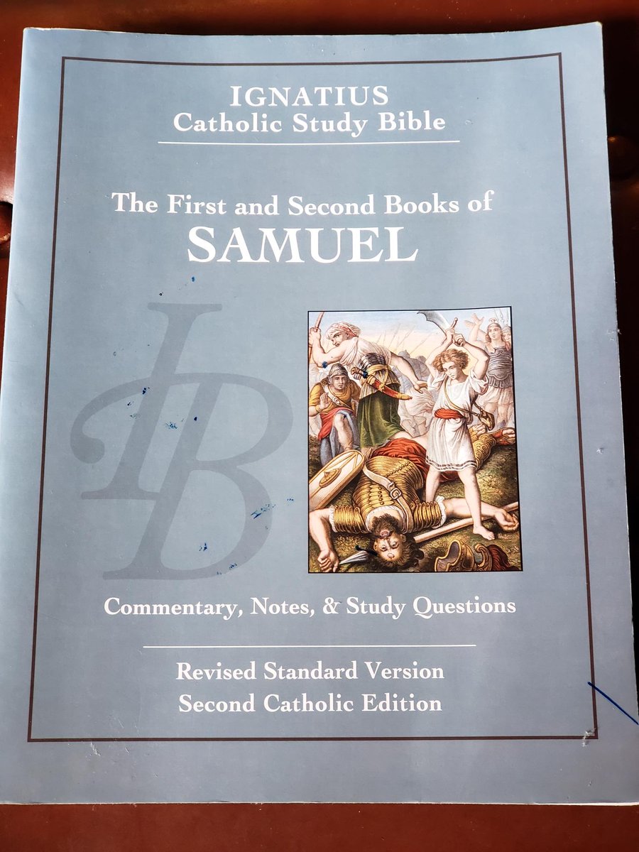 maryjoanderson3's tweet image. #BibleStudy #scripture 

Highly recommend the Ignatius Bible Study series.