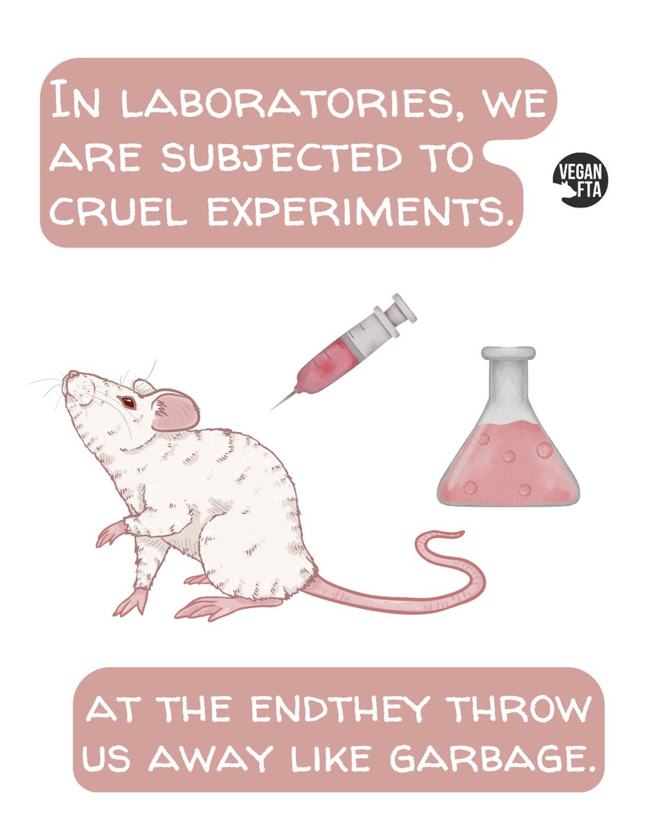 teamveganfta's tweet image. More than 110 million mice and rats are used and discarded in US laboratories every year. 🐁💔 

Always shop cruelty-free. 🙏

👉 Help Make Animal Testing History: drove.com/.2zoc 🚫

🎨: @teamveganfta

#animaltesting #crueltyfree #mice #rats #animalrights