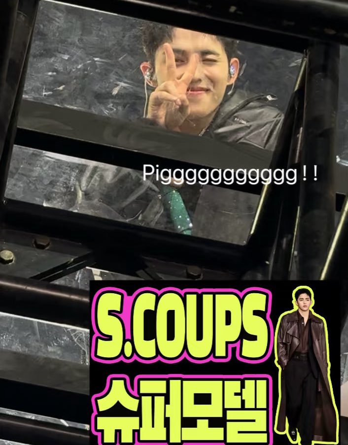 seungcheol saw op’s banner “s.coups supermodel” then he posed 😉✌️