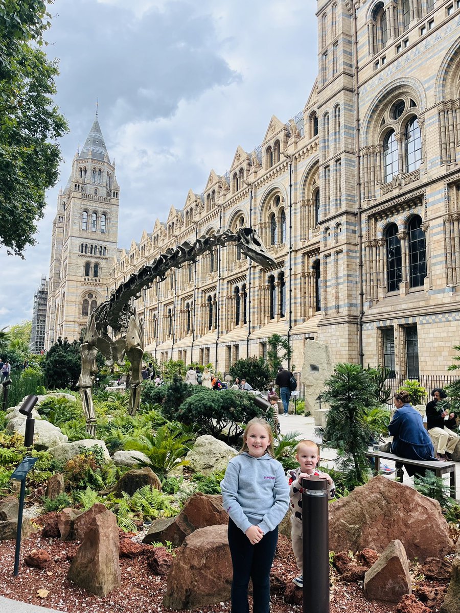 Amy Wilson tweet media