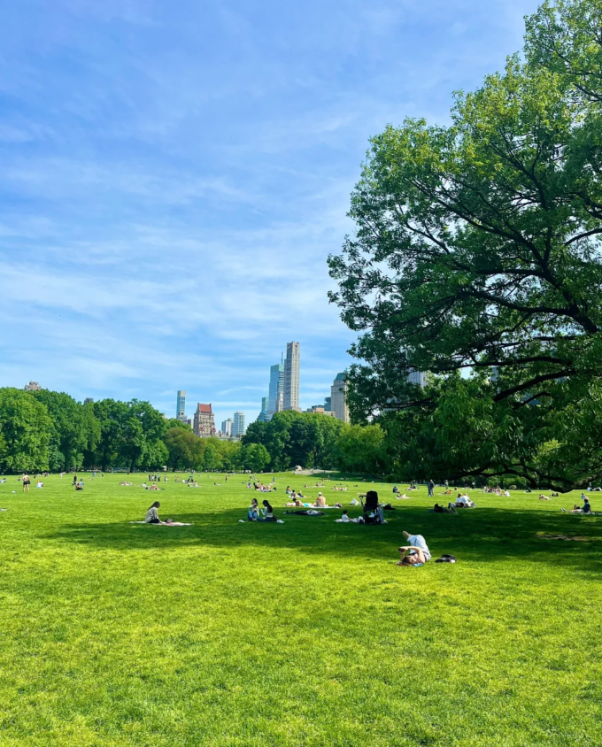 vimo1989's tweet photo. I feel really happy.  #RomanticLifeRecorder #Record #ExchangeSpring #HealingLunchBreak
#20MinuteParkEffect https://t.co/KQf2VB1R5V