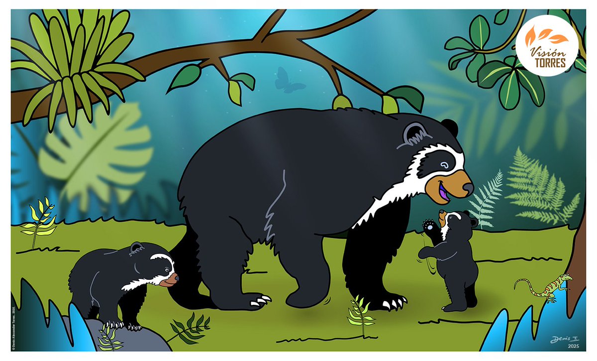 Una ilustración que hice para apoyar la educación ambiental promovida por el Club Amigos del Oso clubamigosdeloso.blogspot.com

#visiontorres #oso #andeanbear #spectacledbear #Venezuela #andes #artedigital #osofrontino #osoandino #ilustracion #clubamigosdeloso #fundacionandigena