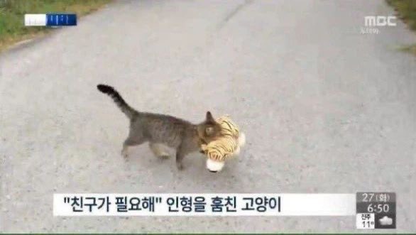 도로 tweet media