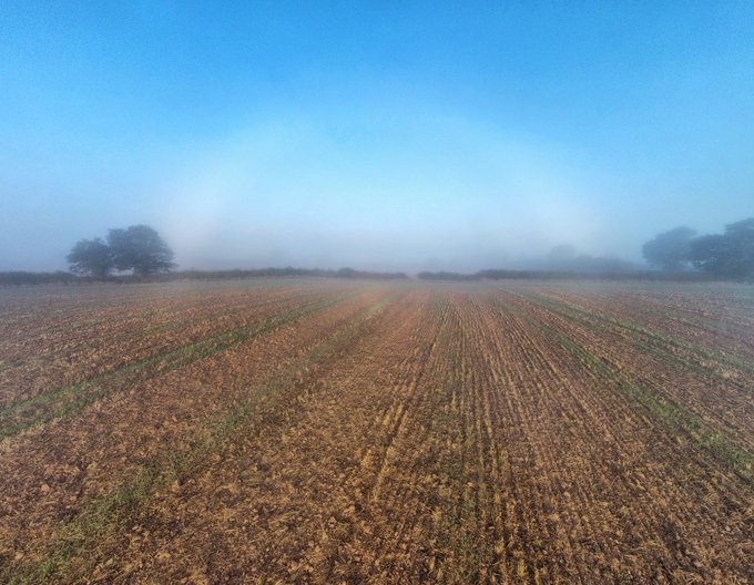 Met Office tweet media