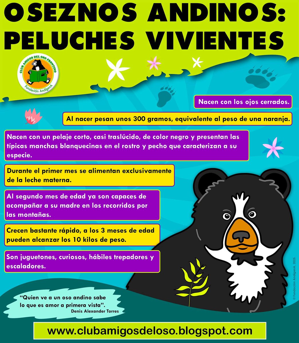 Un diseño e ilustración que hice para apoyar la educación ambiental promovida por el Club Amigos del Oso clubamigosdeloso.blogspot.com

#visiontorres #oso #andeanbear #spectacledbear #Venezuela #andes #artedigital #osofrontino #osoandino #ilustracion #clubamigosdeloso #andigena
