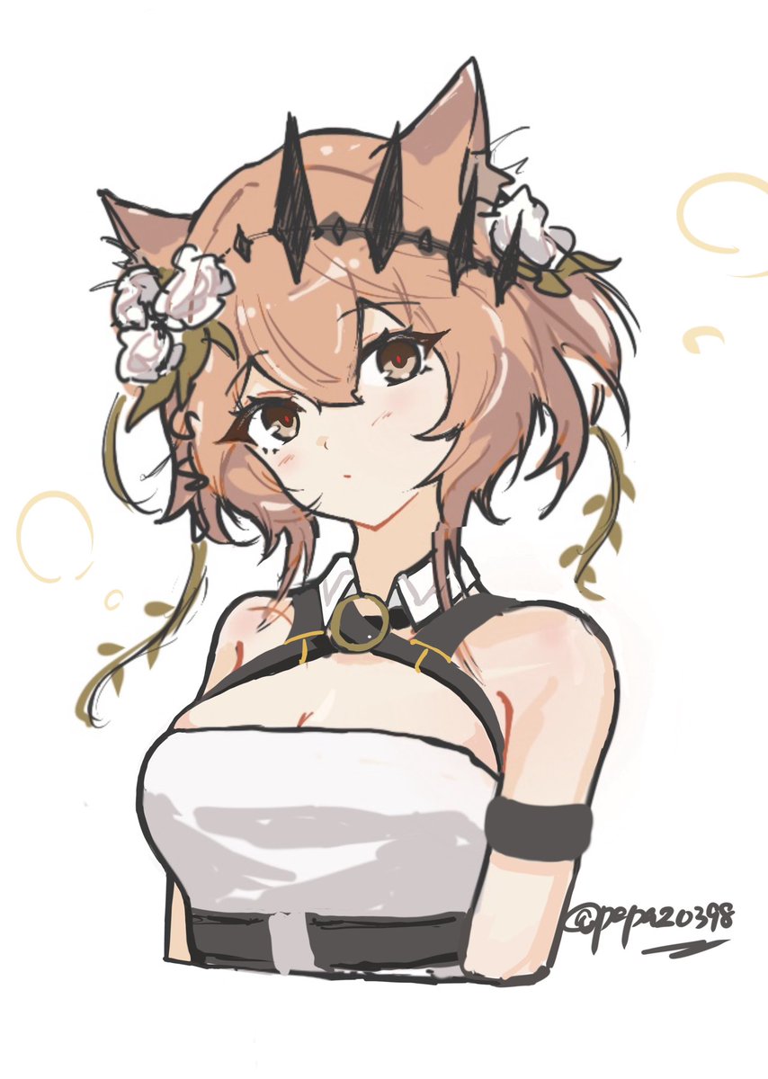 猫族の王 (@ChatChatCocoa) / X