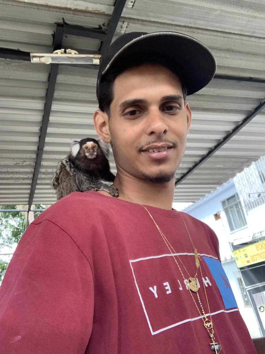 🐵