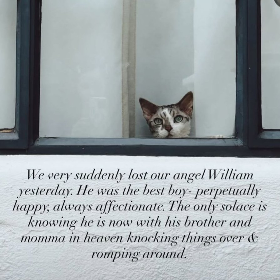 Sincerest condolences to <a href="/marilynmanson/">Marilyn Manson</a> and @lindsayusichofficial. 

May William and Lily play forever in eternity. 🥀