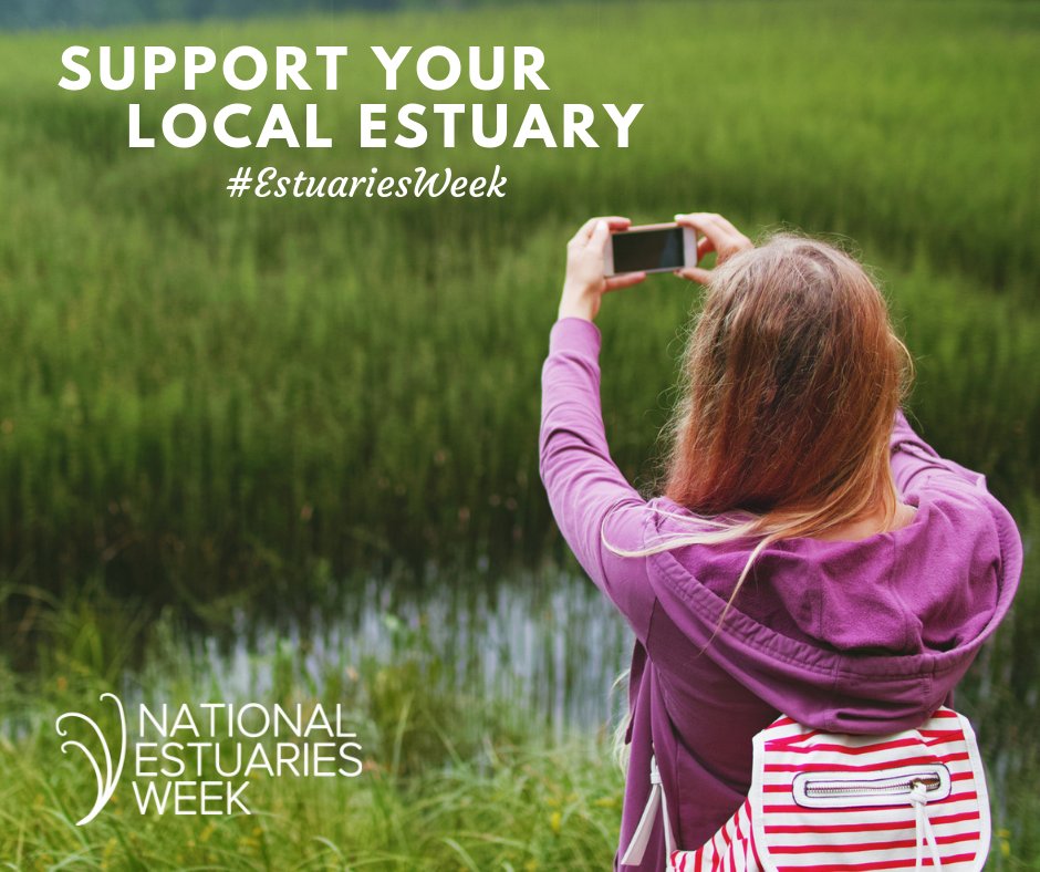 CERFScience's tweet image. Thank you for joining us for National #EstuariesWeek!  We hope you learned some fun new facts and better appreciate the value of these important systems.  Follow us all year to learn more about #estuaries! #CERFscience #EstuaryLove #WadeIn