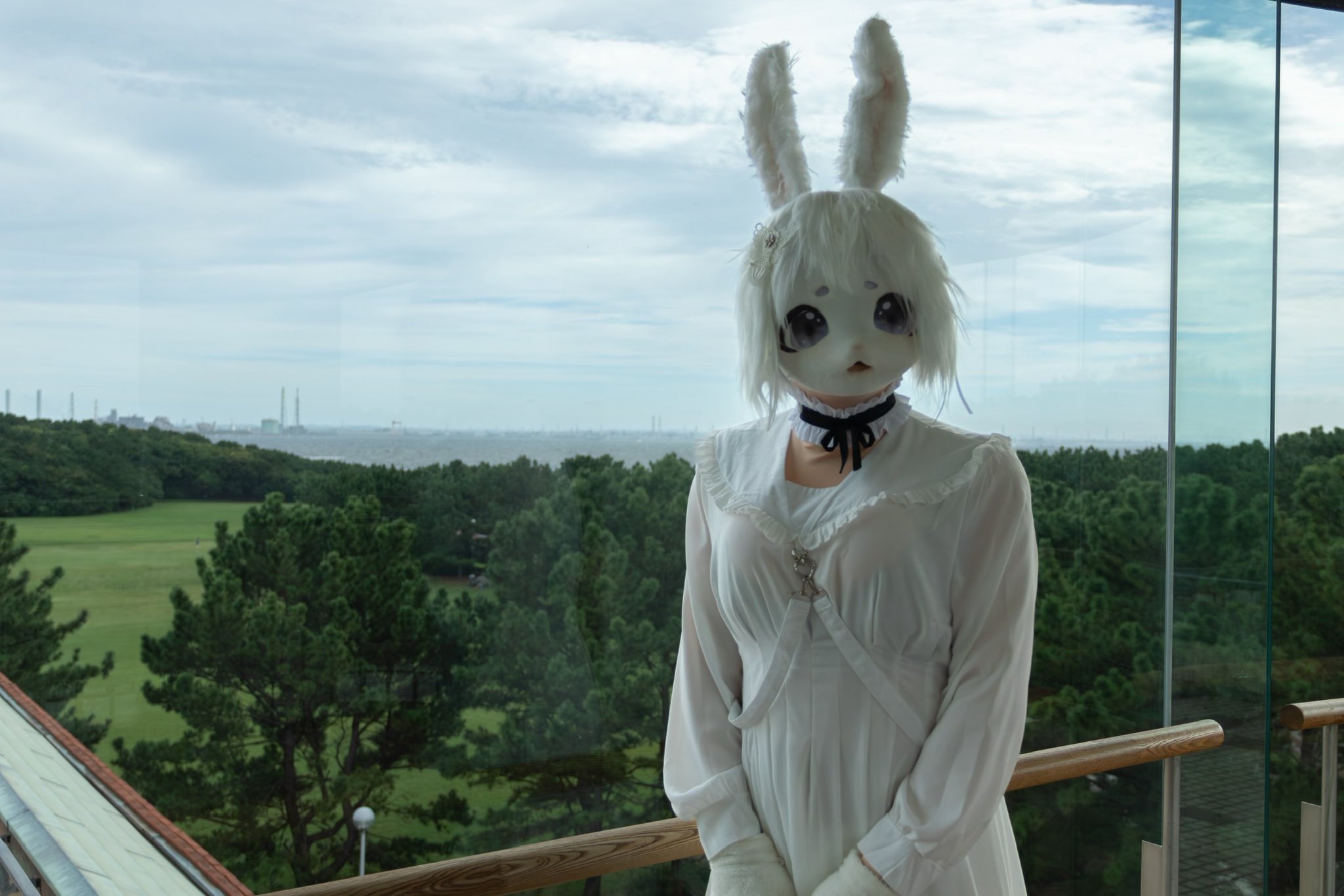 うさこ on X: 