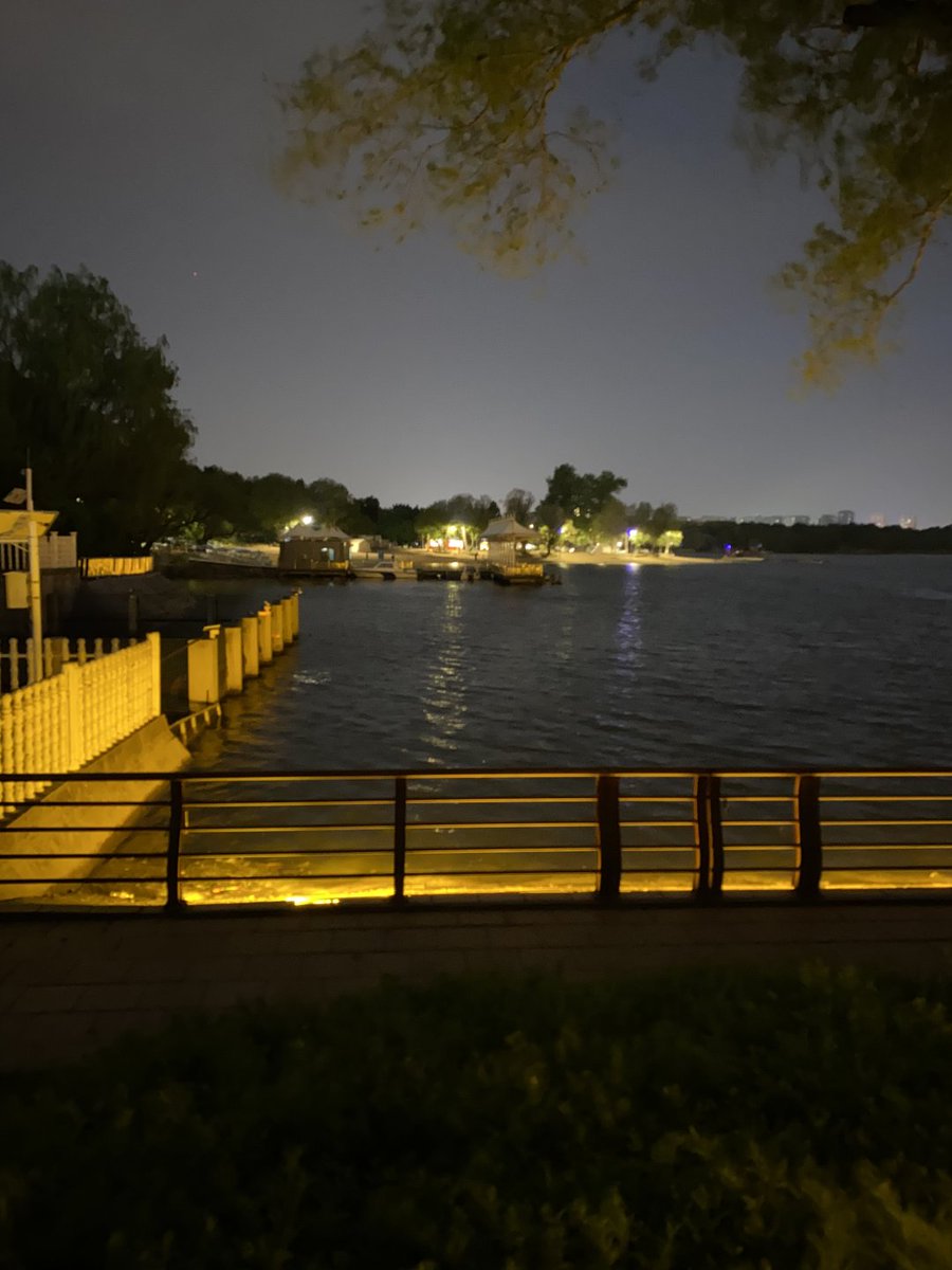 夜の湖畔の景色はとても素晴らしいですね！