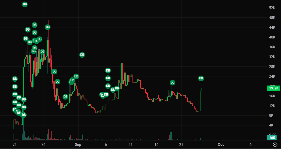 37 days and counting