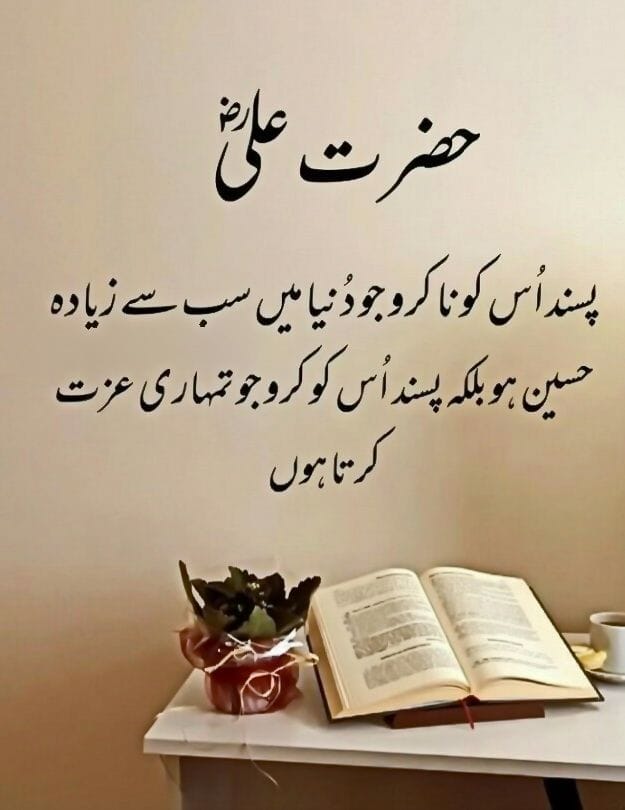 PAKISTAN IS MY HEART (@abdulshakoor950) on Twitter photo 