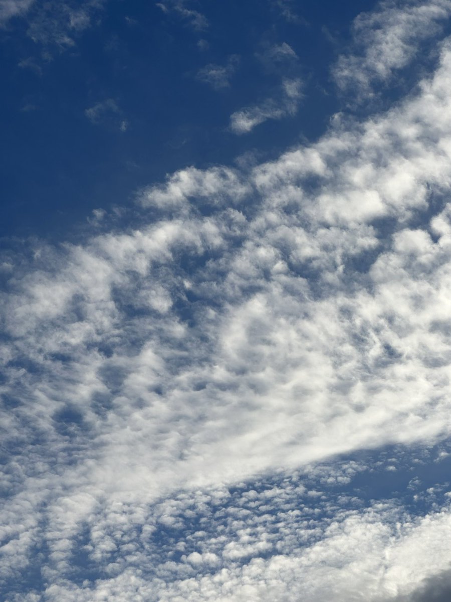 Neil Stone tweet media