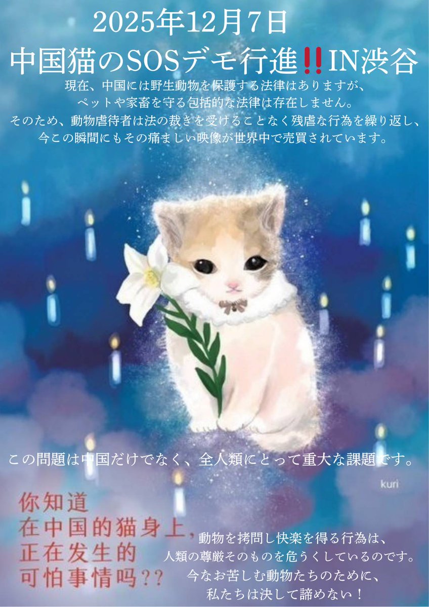 Sea_381's tweet image. 🌕️2025年12月7日🌕️‼️🆘️
🐈️中国猫を守ろうデモ行進in渋谷🐈️
マリ与一さんが、チラシに昨年のデモ行進動画のメッセージを載せてくださりました🙏❕❕
12月7日は、皆で渋谷の街を歩きましょう!!!