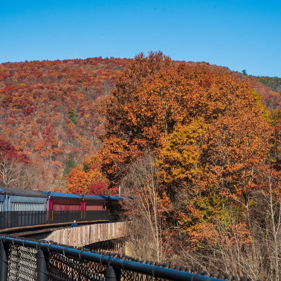 places_travl's tweet image. Is Jim Thorpe, PA the ultimate fall destination?! 🍁 🚂✨

It is if your ideal is vintage train rides, butterbeer lattes, and swoon-worthy views. ⁠Find out why 👉 bit.ly/48BIOL2 

#fallgetaway #travelguide #fallinpennsylvania #goplacestravel #placestravel