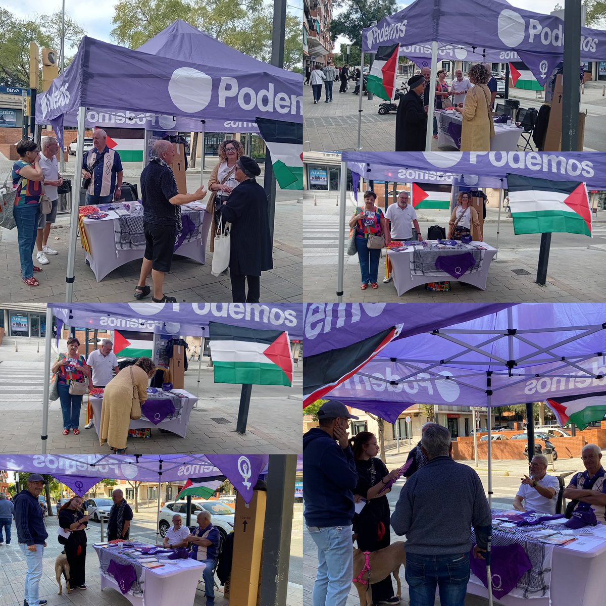 Avui hem estat al carrer amb carpa i fullets informatius ✊🇵🇸
Hem debatut amb veïns i veïnes sobre Gaza, visibilitzat la causa palestina i explicat la tasca del cercle 💜
Valoració molt positiva: repetirem d’aquí 2 setmanes a un altre punt del poble!

#PalestinaLliure #Parets