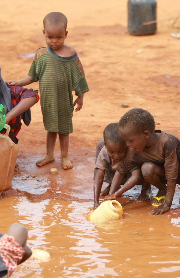 evo_Cabron1's tweet photo. @stellaruizca1 Esto huele un poquito a socialismo.

¿Porque invertir recursos en perros, cuando hay niños y ancianos que sobreviven con casi nada?

Este perrito tiene mejor atención medica y alimentación que muchos niños en casi cualquier ciudad de #Bolivia https://t.co/Ey9xnZV8ZN