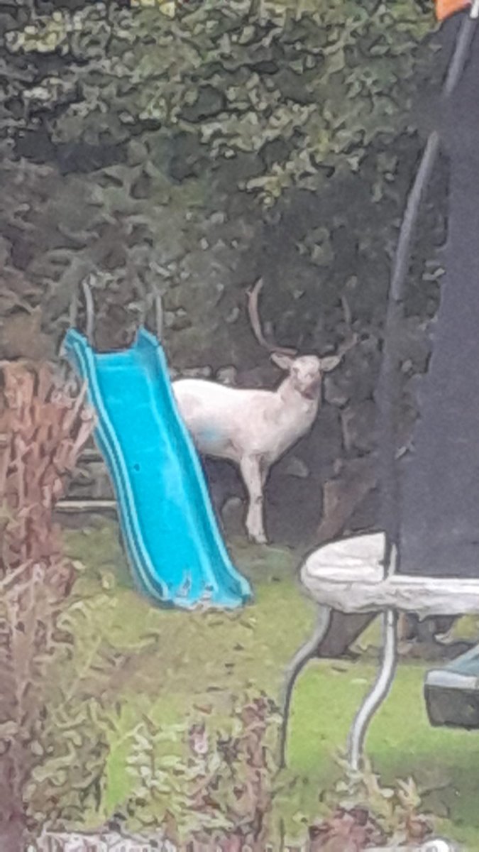 My old pal has a visitor