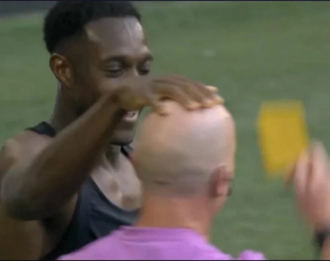 Mass_Seagulls's tweet image. #BHAFC